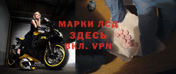 стаф Бородино