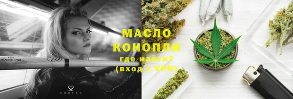 стаф Бородино