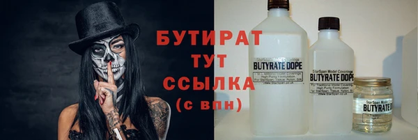 стаф Бородино