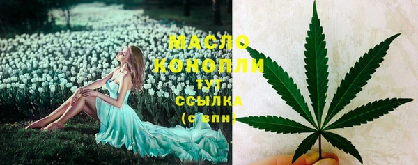 стаф Бородино