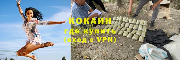 стаф Бородино