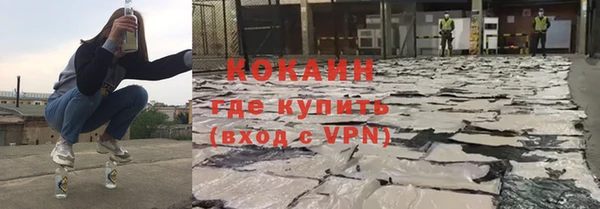 гашик Богданович