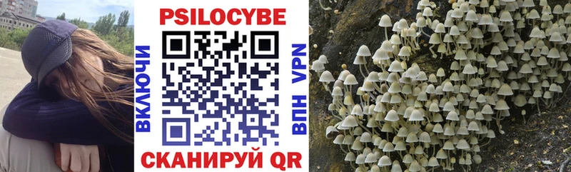 Галлюциногенные грибы ЛСД  Купить закладки  Усмань 
